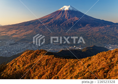 三ツ峠から見る紅葉の尾根と朝の富士山 三ツ峠から見る紅葉の尾根と朝の富士山 116523328