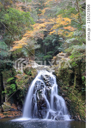 紅葉の名所　赤目四十八滝 116523806