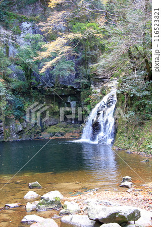 紅葉の名所　赤目四十八滝 116523821