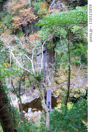 紅葉の名所　赤目四十八滝 116523859