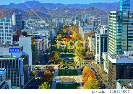 秋の札幌市大通公園 秋の札幌市大通公園 116524007