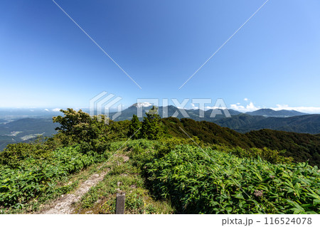 毛無山　夏の山頂から見た大山　岡山県真庭郡新庄村　鳥取県日野郡江府町 116524078