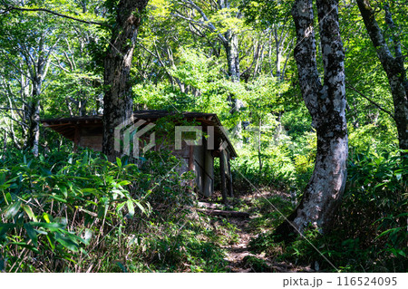毛無山　夏の登山道と九合目の避難小屋　岡山県真庭郡新庄村 116524095