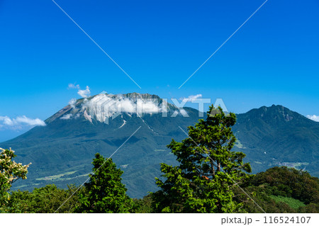 毛無山　稜線から見た夏の大山　岡山県真庭郡新庄村 116524107