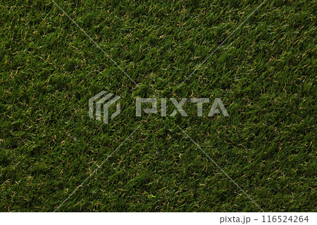 Green, freshly cut grass, background, top view. Green, freshly cut grass, background, top view. 116524264