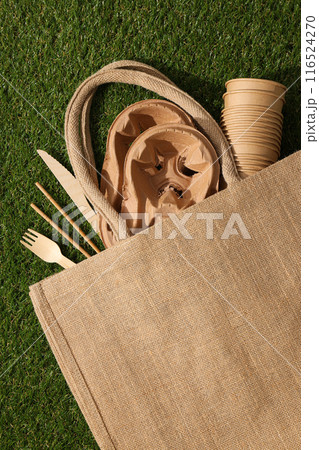 Ecological packaging for food delivery, on the grass. 116524270