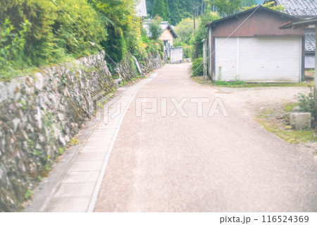 京都市左京区大原の里の春から初夏春の嬉しい景色撮影 116524369