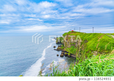 【北海道・浜中町】 夏の霧多布岬(湯沸岬) 【北海道・浜中町】 夏の霧多布岬(湯沸岬) 116524931