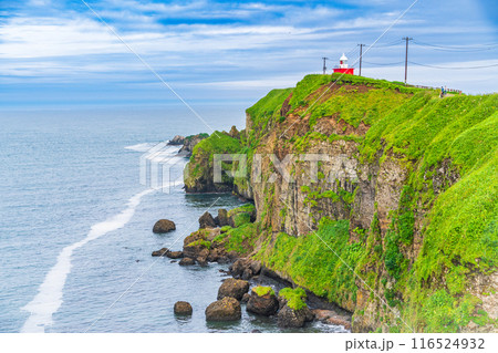 【北海道・浜中町】 夏の霧多布岬(湯沸岬) 【北海道・浜中町】 夏の霧多布岬(湯沸岬) 116524932