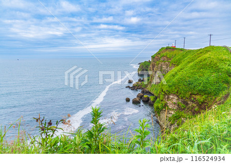 【北海道・浜中町】 夏の霧多布岬(湯沸岬) 【北海道・浜中町】 夏の霧多布岬(湯沸岬) 116524934