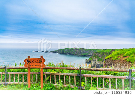 【北海道・浜中町】 夏の霧多布岬(湯沸岬) 【北海道・浜中町】 夏の霧多布岬(湯沸岬) 116524936