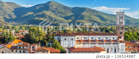 Vivid rooftops of old city Lucca with background of colorful green mountains range, Tuscany Italy. Vivid rooftops of old city Lucca with background of colorful green mountains range, Tuscany Italy. 116524987