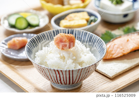 栄養バランスの取れた健康的な和食の朝食 栄養バランスの取れた健康的な和食の朝食 116525009