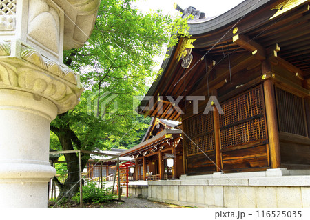 群馬県:群馬縣護國神社 116525035