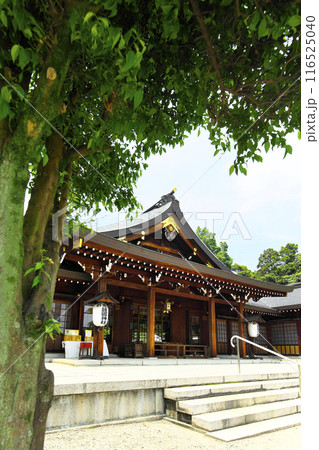 群馬県:群馬縣護國神社 116525040