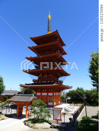 飯沼観音 圓福寺 (千葉県銚子市) 飯沼観音 圓福寺 (千葉県銚子市) 116525094