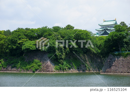 緑に囲まれた名古屋城天守閣 緑に囲まれた名古屋城天守閣 116525104