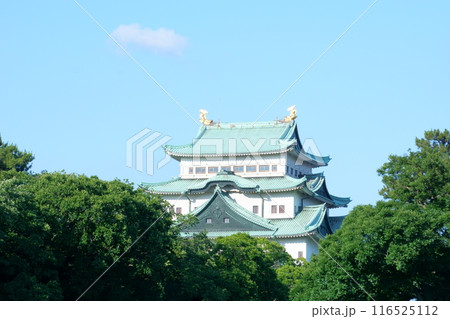 緑に囲まれた名古屋城天守閣 緑に囲まれた名古屋城天守閣 116525112