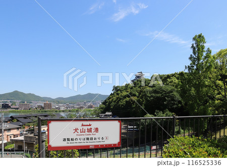 犬山城 遠望(愛知県 犬山市) 犬山城 遠望(愛知県 犬山市) 116525336