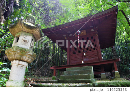 高崎市:清水寺 高崎市:清水寺 116525358