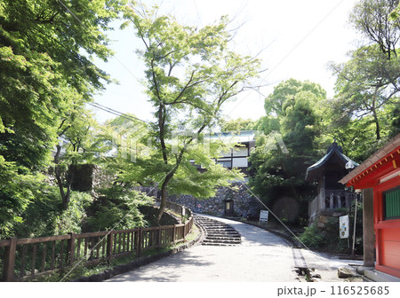 犬山城 松の丸門跡（愛知県 犬山市） 116525685