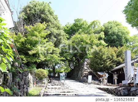 犬山城 小銃櫓（愛知県 犬山市） 116525687
