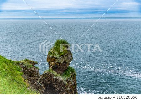 【北海道・浜中町】 霧多布岬（湯沸岬）　岩場の野鳥 116526060