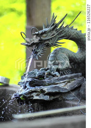 龍の手水舎 龍の手水舎 116526227