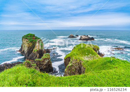 【北海道・浜中町】太平洋に突き出た、霧多布岬（湯沸岬） 116526234