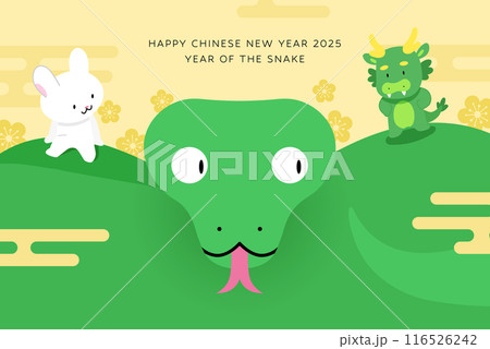 Three zodiac animals snake, dragon and rabbit 116526242