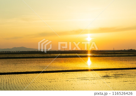 日本の車窓風景 快速リゾートしらかみ 夕暮れの八郎潟 日本の車窓風景 快速リゾートしらかみ 夕暮れの八郎潟 116526426