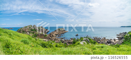 「青森県」美しい中須賀海岸の風景 種差海岸 「青森県」美しい中須賀海岸の風景 種差海岸 116526555