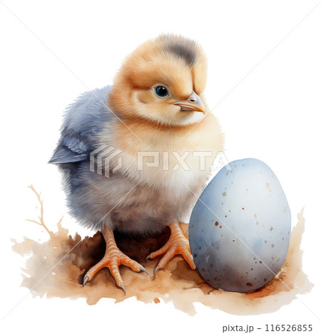 A charming watercolor chick hatching from an egg 116526855