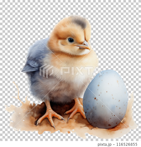 A charming watercolor chick hatching from an egg 116526855
