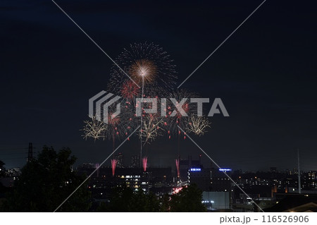 20234.07.03 TOKYOシティポップ花火2024 東京競馬場花火 20234.07.03 TOKYOシティポップ花火2024 東京競馬場花火 116526906