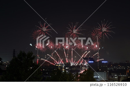 20234.07.03　TOKYOシティポップ花火2024　　東京競馬場花火 116526910