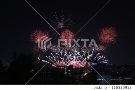20234.07.03　TOKYOシティポップ花火2024　　東京競馬場花火 116526912