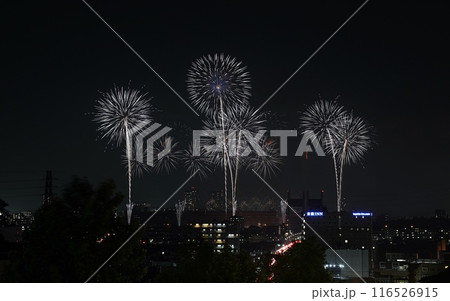 20234.07.03 TOKYOシティポップ花火2024 東京競馬場花火 20234.07.03 TOKYOシティポップ花火2024 東京競馬場花火 116526915