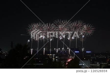 20234.07.03　TOKYOシティポップ花火2024　　東京競馬場花火 116526934