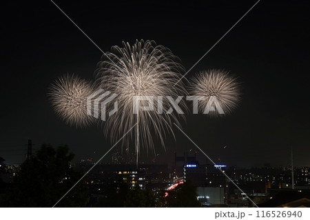 20234.07.03　TOKYOシティポップ花火2024　　東京競馬場花火 116526940
