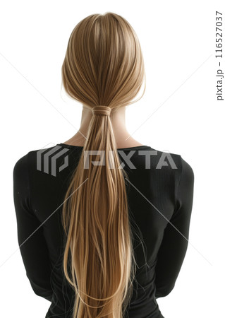 Back view of beautiful girl with long smooth...のイラスト素材 [116527037] - PIXTA