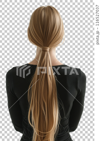 Back view of beautiful girl with long smooth...のイラスト素材 [116527037] - PIXTA