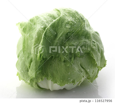 新鮮なレタス 新鮮なレタス 116527956
