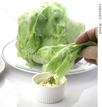 新鮮なレタスにマヨネーズをつけて食べる 新鮮なレタスにマヨネーズをつけて食べる 116528051