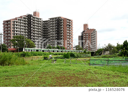 未利用の畑と通勤電車とマンション 116528076