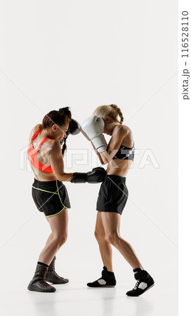 Strong and competitive women, boxing athletes in sportswear and gloves, fighting with intensity isolated on white background Strong and competitive women, boxing athletes in sportswear and gloves, fighting with intensity isolated on white background 116528110