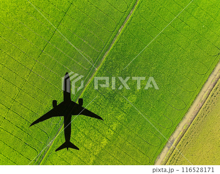 Shadow airplane flying above green field. Sustainable fuel. Biofuel in aviation. Sustainable transportation and eco-friendly flight with biofuel use. Aviation sustainability. Biofuel in air travel. 116528171