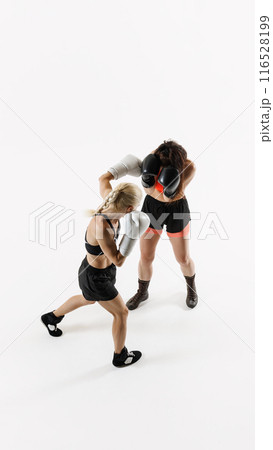 Vertical top view image of two competitive women, boxing athletes competing fiercely in a boxing match isolated on white background 116528199