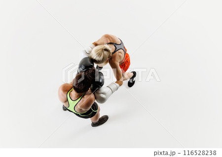 Women, focused boxers in action, displaying athleticism and determination, training isolated on white background. Top view Women, focused boxers in action, displaying athleticism and determination, training isolated on white background. Top view 116528238