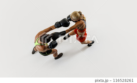 Top view of two athletic young women engaged in dynamic boxing match, competing for the victory isolated on white background 116528261